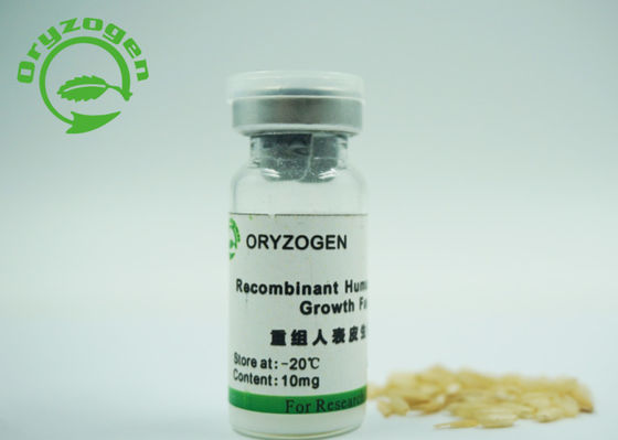 53 fattore di crescita epidermico di fattore di crescita di ricombinante di aminoacidi 6.3kD EGF liofilizzato con lo stabilizzatore del mannitolo