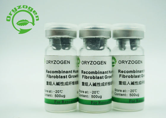 Purezza CAS 106096-93-9 di fattore di crescita del bFGF della cultura di cellula staminale maggior di 95%