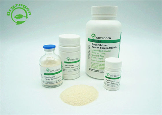 Polvere liofilizzata albumina umana recombinante HYC002M01 di Oryzogen