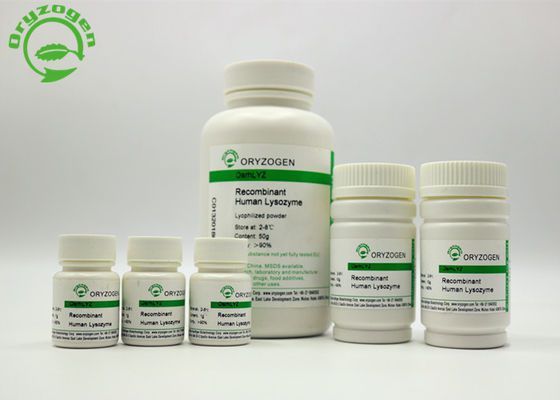 Proteina recombinante di elevata purezza 14.7kD del lisozima recombinante libero animale