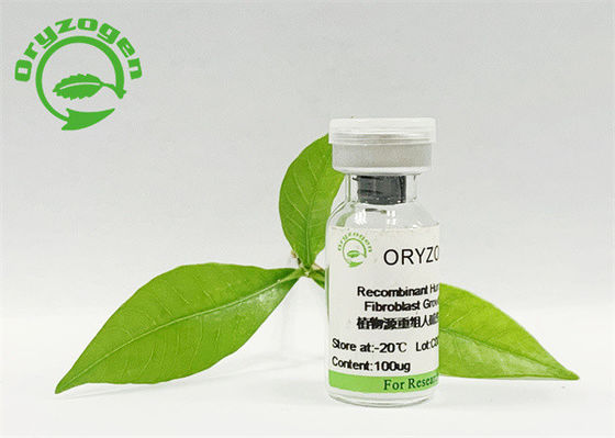 Polvere liofilizzata di fattore di crescita del bFGF di bioattività di purezza di 95% alta