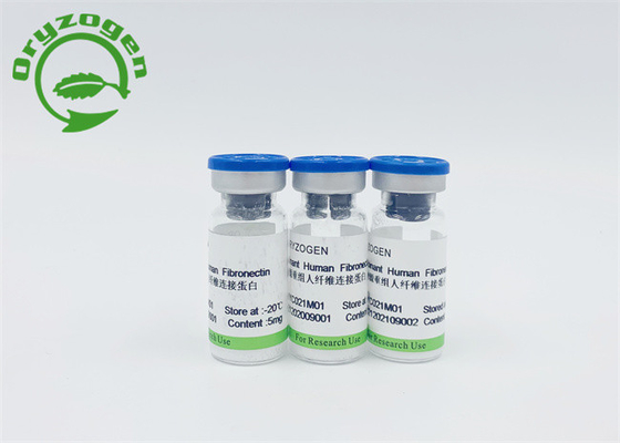 Ricombinante Fibronectin umano del grano del riso per rilevazione F-N