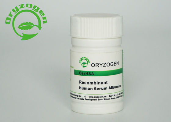 Bianco accendere il ricombinante di beige HA componente libera animale di M/P 65℃