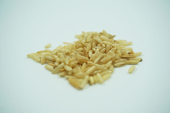 La proteina umana recombinante espressa specifica dell'albumina dell'endosperma del riso HA senza alcun rischio dei contaminanti