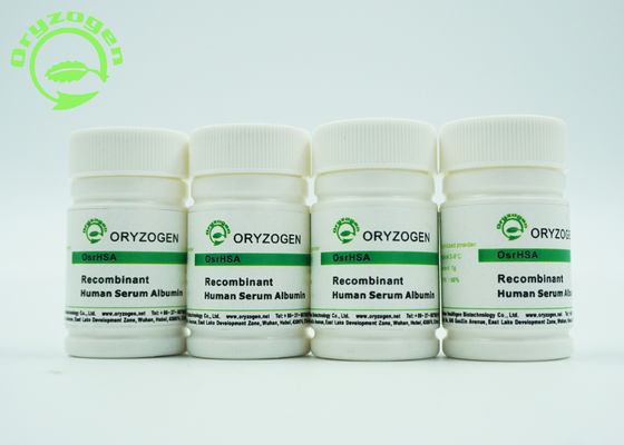 Il ricombinante sativa del Oryza ha liofilizzato per spolverizzare la proteina umana di massa molecolare dell'albumina 66.554KD