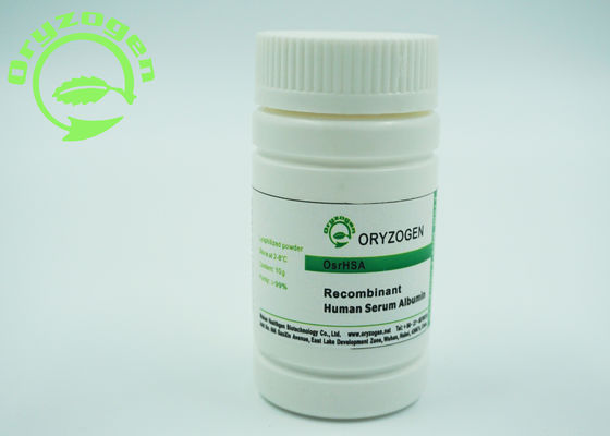 Il ricombinante sativa del Oryza ha liofilizzato per spolverizzare la proteina umana di massa molecolare dell'albumina 66.554KD