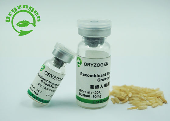 origine epidermica del lievito di fattore di crescita di 6.3kD Recombiannt per coltura cellulare