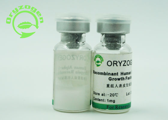 Bianchi epidermici di fattore di crescita di EGF liofilizzati spolverizzano con l'endotossina di meno di 1,0 UE/mg