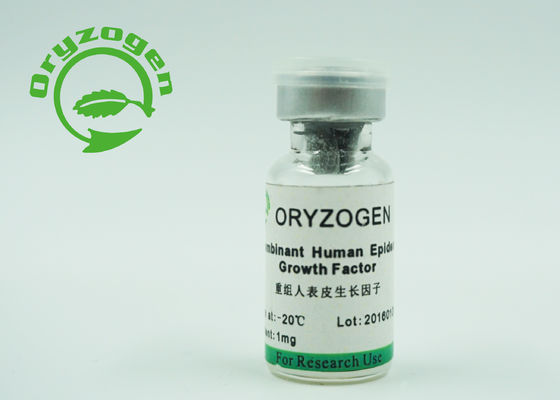 Il lievito epidermico umano di fattore di crescita di CAS 62253-63-8 EGF ha derivato la componente animale non