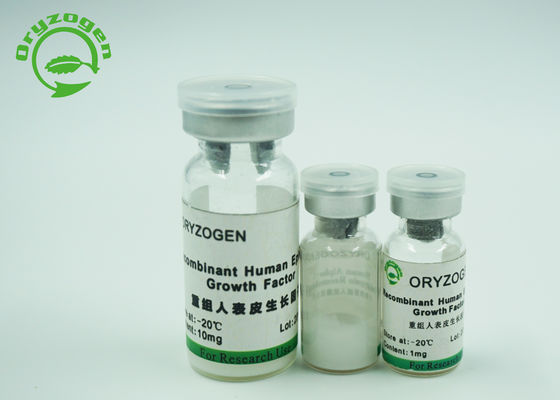 Fattore di crescita epidermico liofilizzato della proteina Egf per i cosmetici 1Ng/ml della pelle di ED50