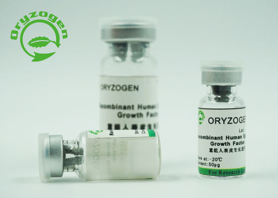 La purezza epidermica recombinante umana di fattore di crescita di alta bioattività EFG 98% per pelle rinnova/riparazione