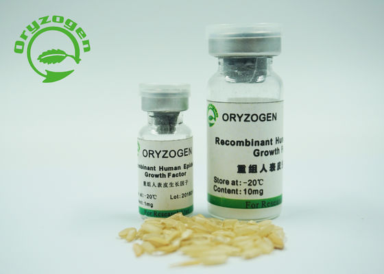 il fattore di crescita epidermico 6.3kD EGF ha espresso da lievito