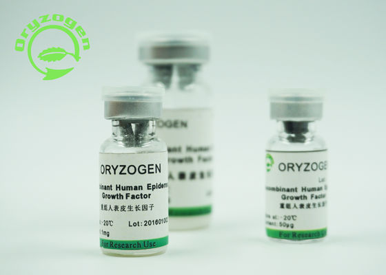 × epidermico umano recombinante 10^6 Unitis di fattore di crescita 1/bioattività di mg dall'analisi delle cellule di Balb/C 3T3