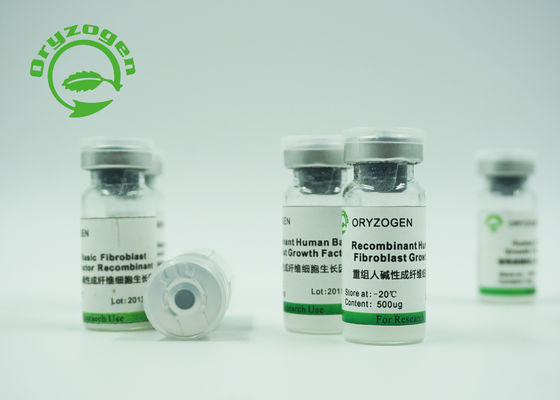 Oryza recombinante -20℃ estratto sativa Storaged di fattore del bFGF della proteina