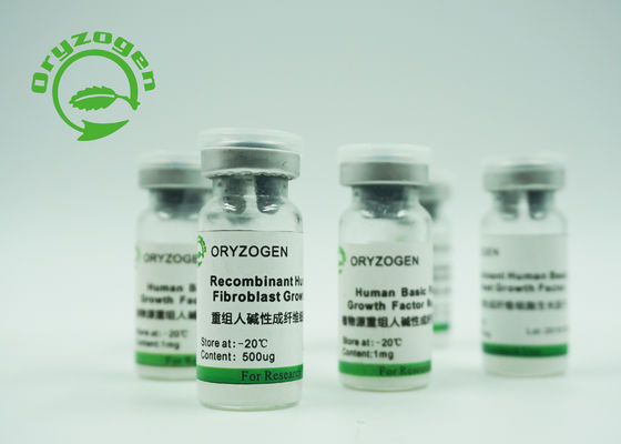 Fattore di crescita di base recombinante del fibroblasto di alta bioattività BFGF per i cosmetici
