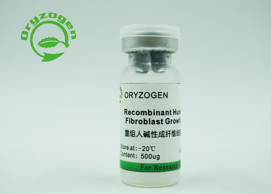 Il fattore di crescita del bFGF della purezza più maggior di di 95% tiene le cellule staminali in Undifferentiation 106096-93-9