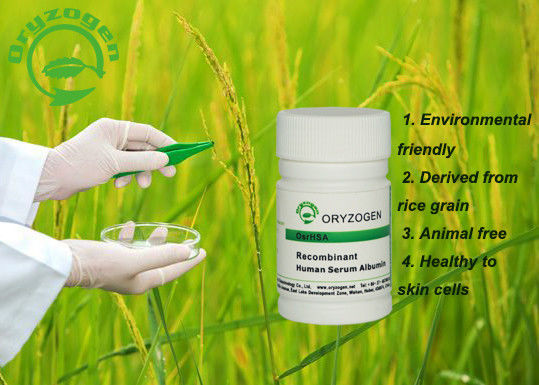 Origine vegetale organica antinvecchiamento umana recombinante beige leggera dell'albumina 66.5kD