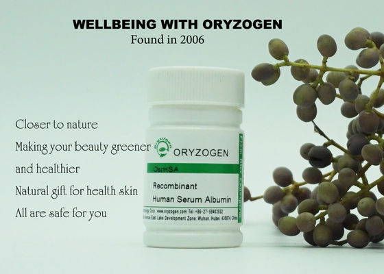 Origine umana recombinante del grano del riso di cura di pelle dell'albumina nessun ingrediente irritante 70024-90-7