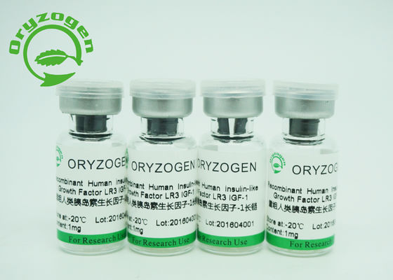 Fattore di crescita lungo R3 di purezza IGF 1 recombinante più maggior di di 90% che promuove crescita delle cellule