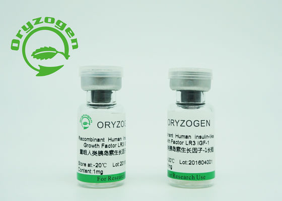 Purezza liofilizzata R3 lunga di origine IGF 1 recombinante più maggior di 90% del lievito per il siero - medium libero