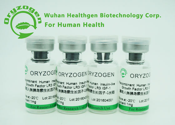 1Ng/origine recombinante umana lunga del lievito proteina R3 di ml ED50 IGF 1