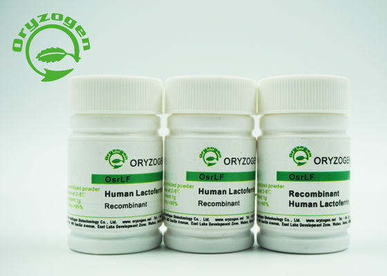 Lattoferrina umana recombinante della proteina 80KD nessuna componente animale per i cosmetici