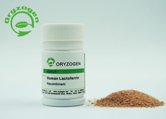 Lattoferrina umana recombinante della proteina 80KD nessuna componente animale per i cosmetici
