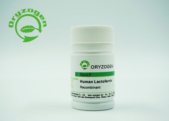 Lattoferrina recombinante Lyophiized di maggior di 95% purezza dell'antibatterico con sale inorganico