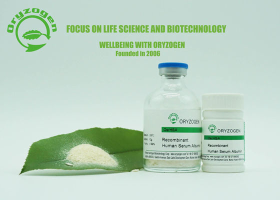 La pelle dell'albumina di Oryzogen della purezza di 99% si preoccupa la proteina recombinante umana accelera il metabolismo