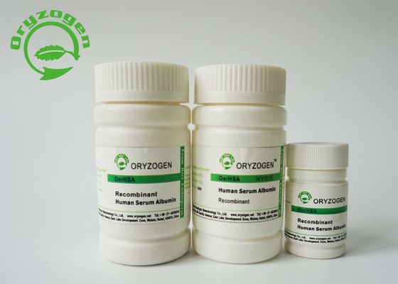 L'albumina recombinante dell'endotossina bassa HA coltura cellulare per la fabbricazione/formulazione vaccino