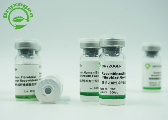 Reagenti di base liofilizzati di Bilogical di fattore del bFGF di fattore di crescita del fibroblasto per i Biopharmaceuticals