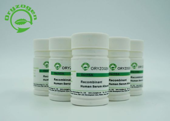 L'albumina umana recombinante di CAS 70024-90-7 HA con di meno che l'endotossina 0.125EU/Mg