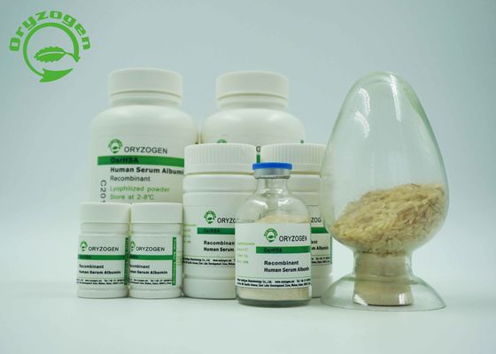 Bianco accendere il ricombinante liofilizzato beige della polvere HA iso diplomato