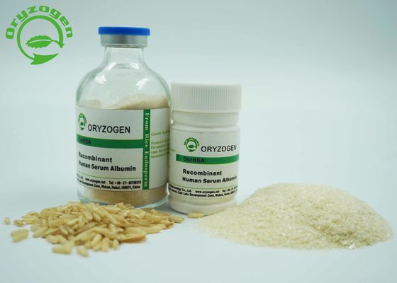 L'iso ha certificato il ricombinante HA polvere liofilizzata beige leggera