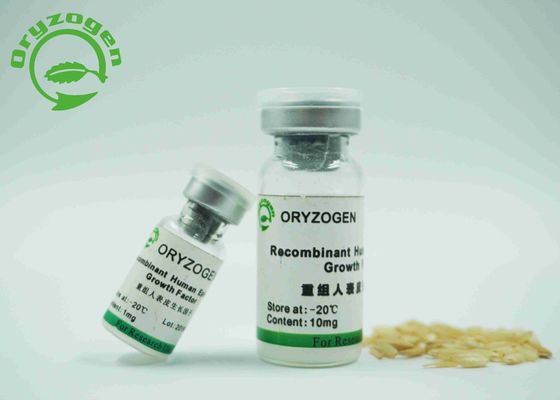 × epidermico umano recombinante 10^6 Unitis di fattore di crescita 1/bioattività di mg dall'analisi delle cellule di Balb/C 3T3