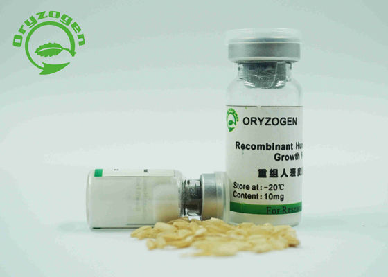 L'elevata purezza EGF recombinante scompone la componente in fattori animale non per Xeno - medium libero