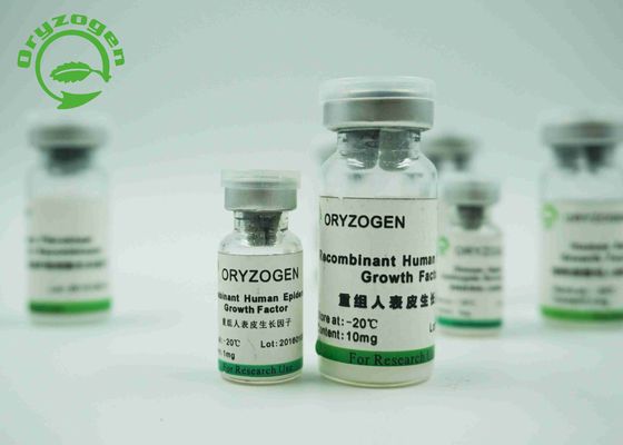 Il lievito ha derivato il fattore di crescita epidermico recombinante 6.3KD EGF umano per il siero - medium libero