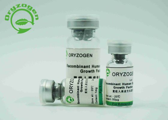 Bianchi epidermici di fattore di crescita di EGF liofilizzati spolverizzano con l'endotossina di meno di 1,0 UE/mg