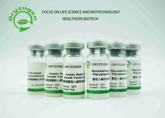 La riparazione liofilizzata bianca di fattore di crescita del bFGF della polvere ha danneggiato le cellule epiteliali 17KD FGF2 umano