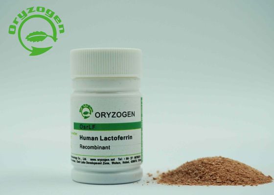 RhLF umano della lattoferrina di ricombinante di Lacto derivato pianta Ferrin con l'endotossina di meno di 20 UE/mg