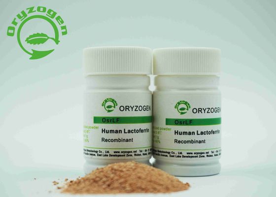 Polvere liofilizzata lattoferrina umana recombinante