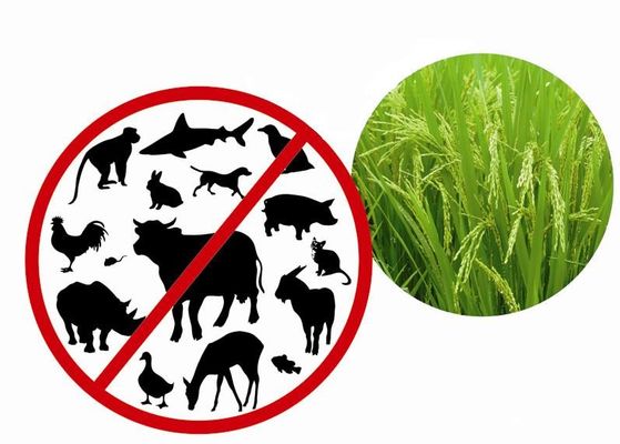La proteina recombinante ha purificato dalla pianta con l'endotossina animale non dell'ingrediente meno 0.125EU/ug