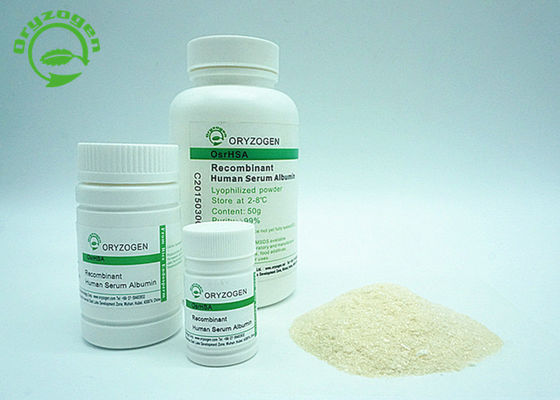 Il ricombinante HA con bianco per accendere la polvere liofilizzata beige HA elevata purezza