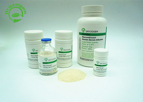 L'albumina recombinante della purezza più di di 99% HA bianco sporco per accendere la polvere beige di colore