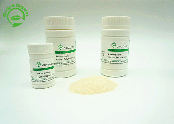 Derivato dalla proteina umana dell'albumina di ricombinante del grano del riso HA l'alte sicurezza e biosicurezza