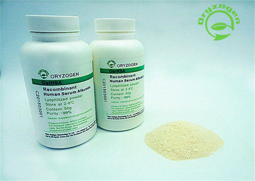 Nessun'albumina umana di ricombinante umano di fonte HA proteina recombinante HYC002M01