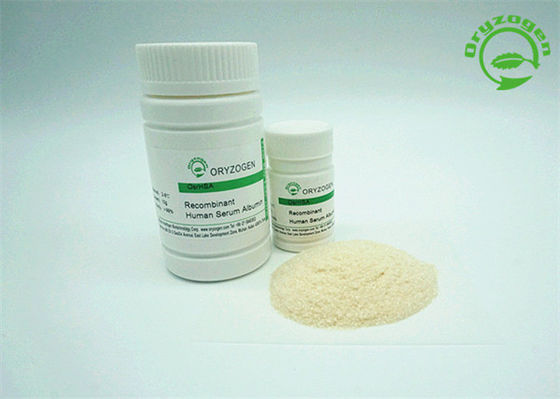 L'elevata purezza OsrHSA spolverizza il peso molecolare recombinante dell'albumina 65KD