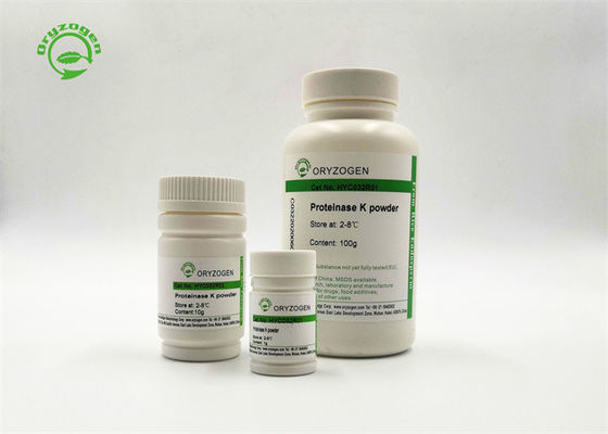 La proteinasi recombinante K spolverizza la dimensione 100g della proteinasi K di elevata purezza del grado di biologia molecolare
