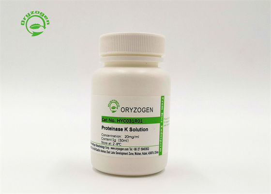 Grado di biologia molecolare della proteinasi K Cas Number 39450-01-6 di ProK dal produttore diretto