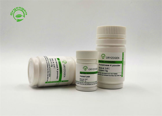 29kD soluzione di riserva recombinante 20mg/ml della proteinasi K per l'estrazione automatica
